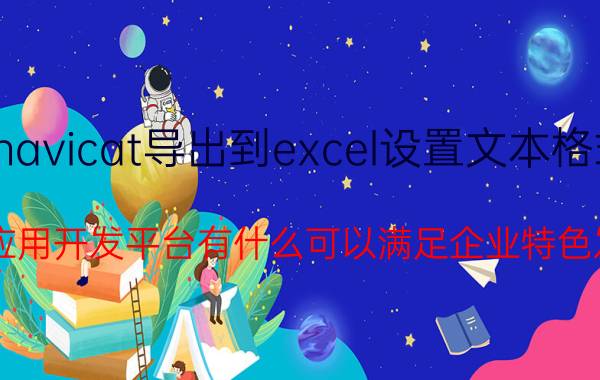 navicat导出到excel设置文本格式 excel应用开发平台有什么可以满足企业特色发展啊？